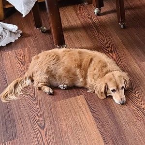 Meet your Posher, Jay